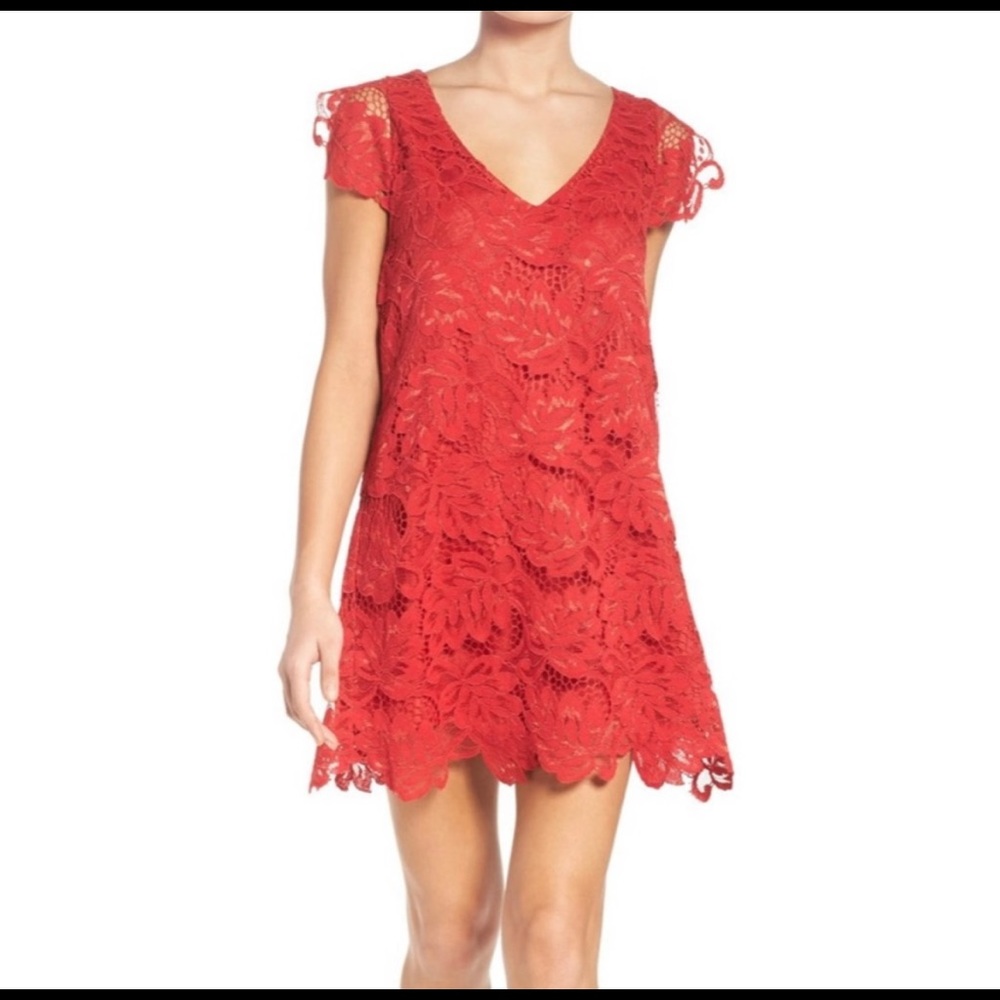 BB Dakota Formal Lace dress NWT
